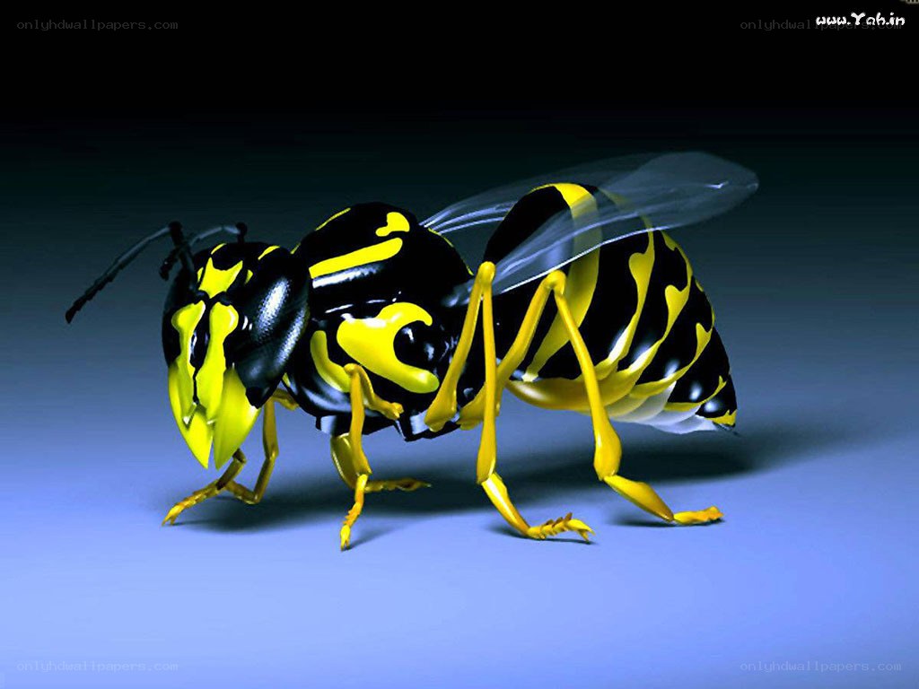 3D rendering of a wasp