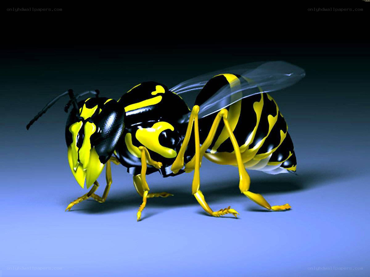 3d rendering of a wasp