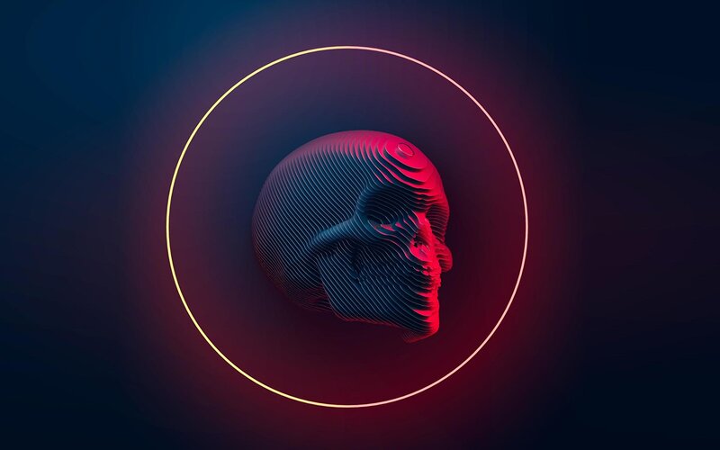 3d Skull Model