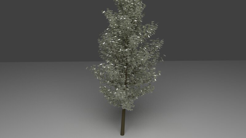 3d Tree Model