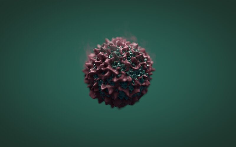 3D virus model