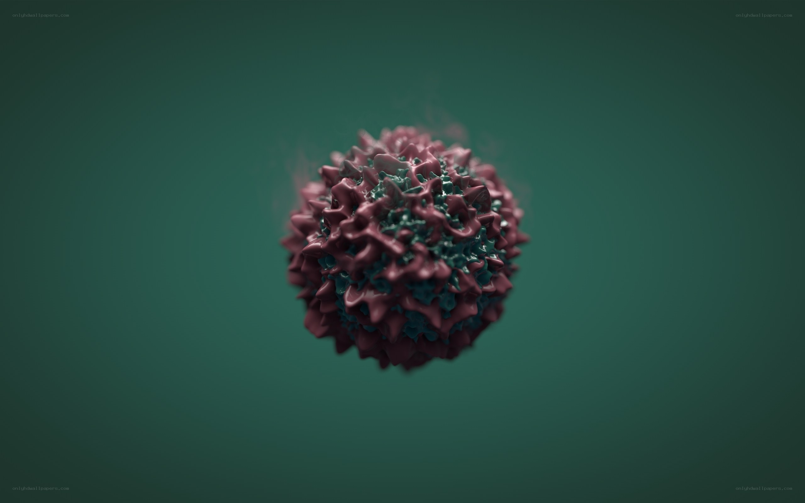 3D virus model