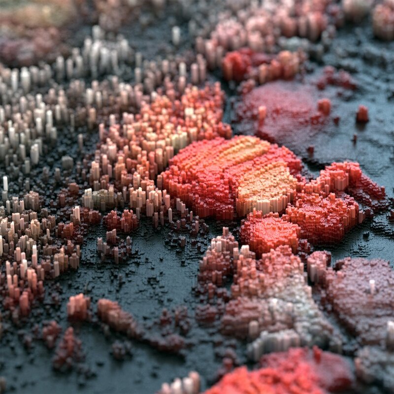 3d Voxel Landscape — Red