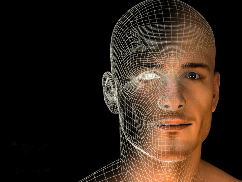 3D wireframe human head