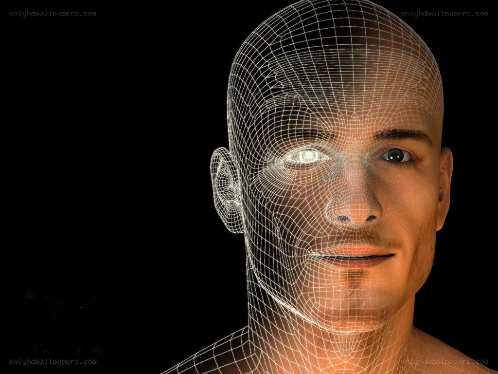 3D wireframe human head