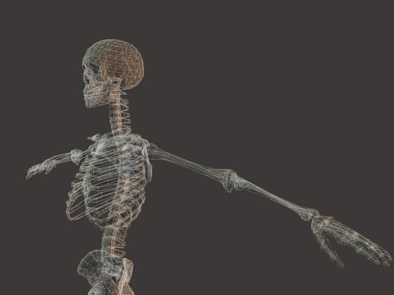 3D wireframe human skeleton
