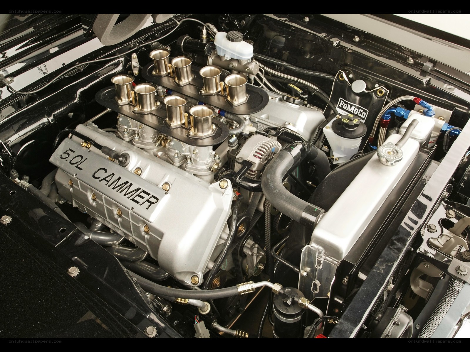 5.0L Cammer engine