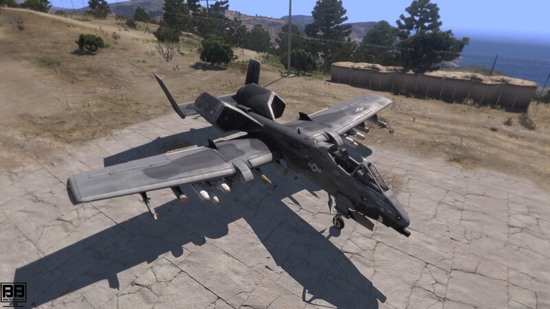 A-10 Thunderbolt II Aircraft — Gray, Neutral, Afternoon
