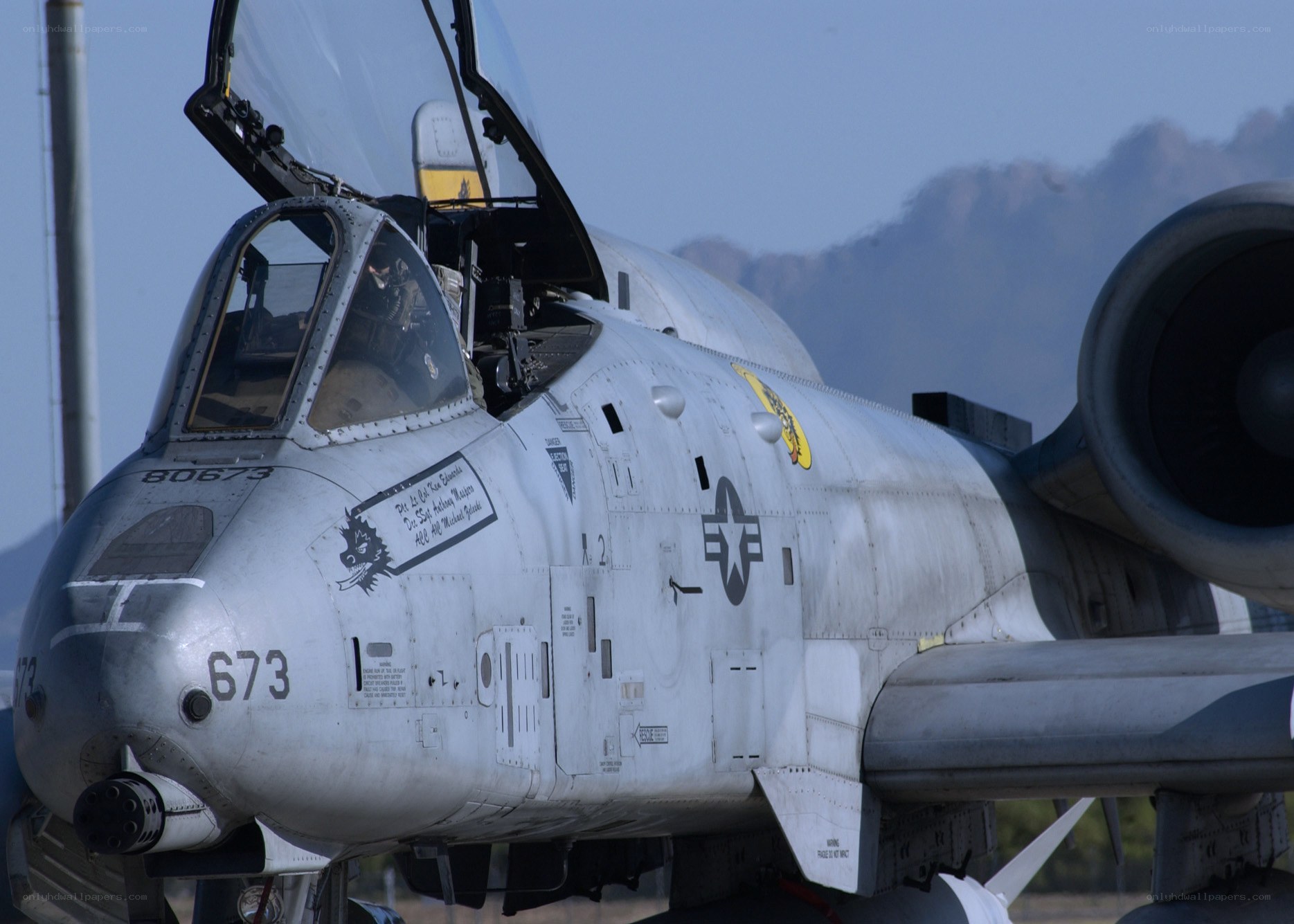 A-10 Thunderbolt II aircraft