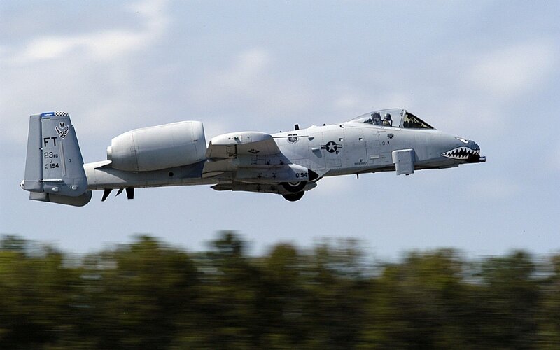 A-10 Thunderbolt II — Gray, Dynamic, Afternoon, Photograph, Aircraft, Trees