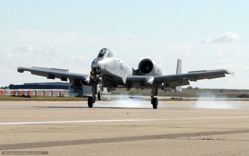 A-10 Thunderbolt II — Gray, Dynamic, Afternoon, Photograph, Airplane
