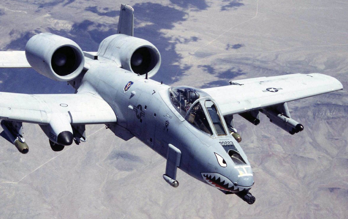 A-10 Thunderbolt II in flight