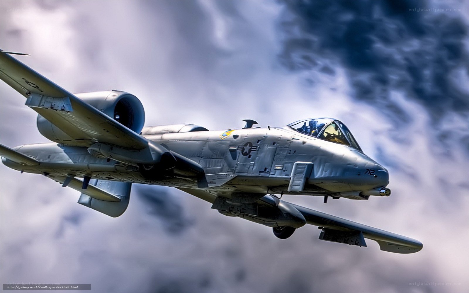 A-10 Thunderbolt II in flight