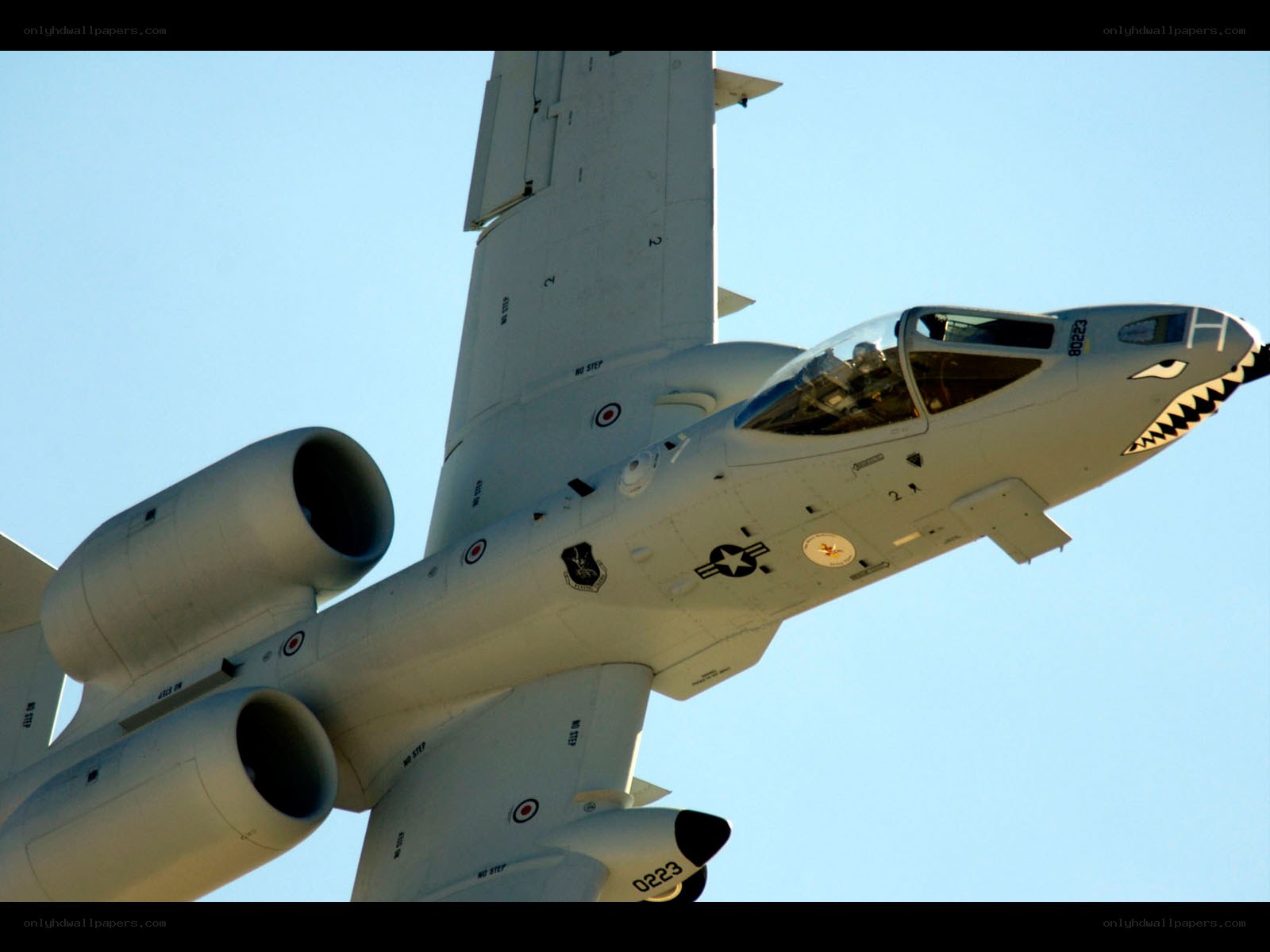 A-10 Thunderbolt II in flight