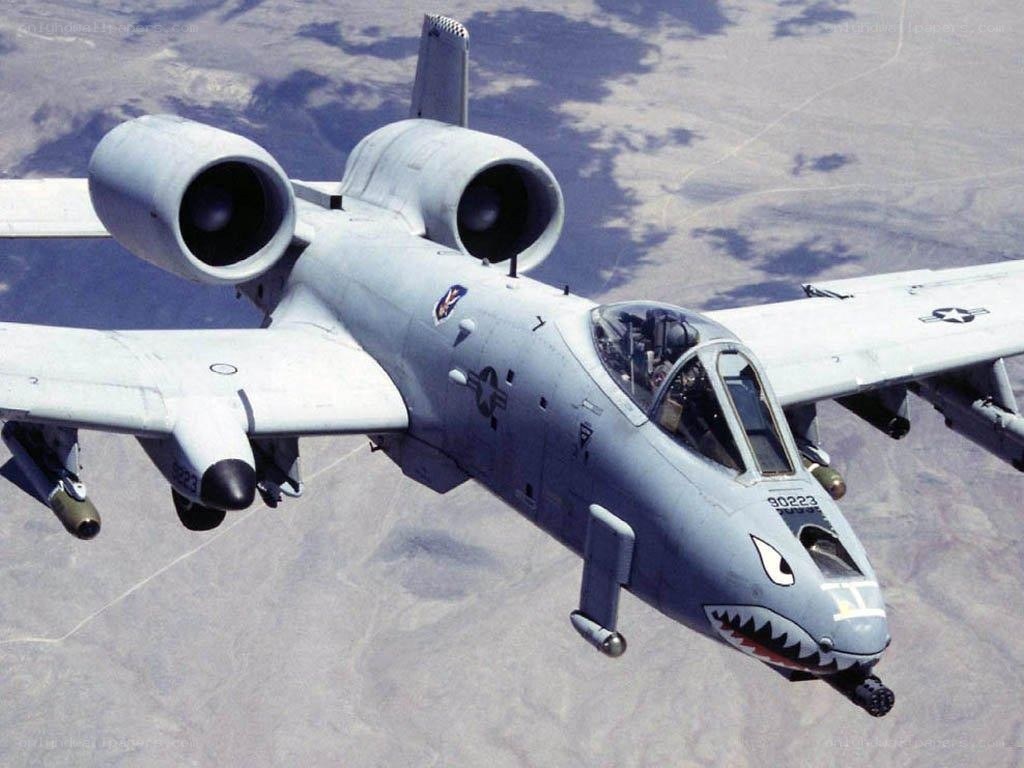 A-10 Thunderbolt II in flight