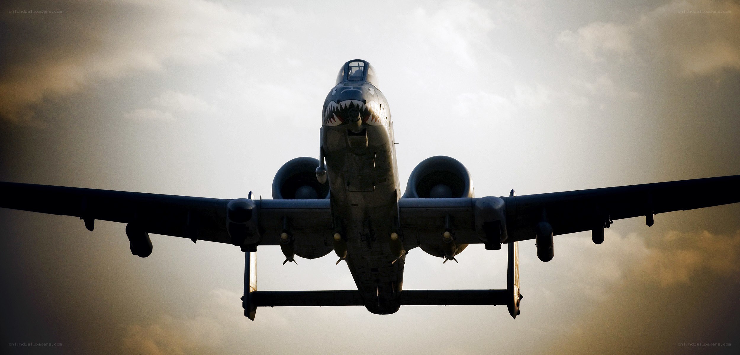 A-10 Thunderbolt II in flight
