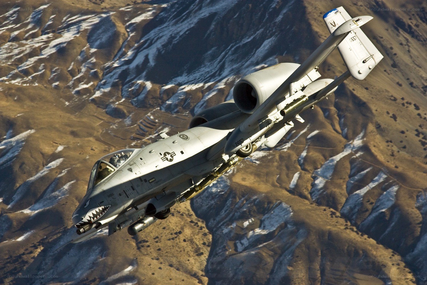 A-10 Thunderbolt II in flight