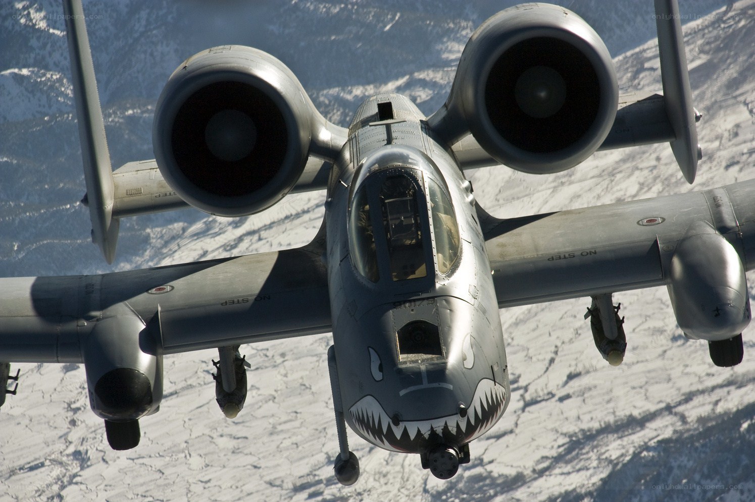 A-10 Thunderbolt II in flight