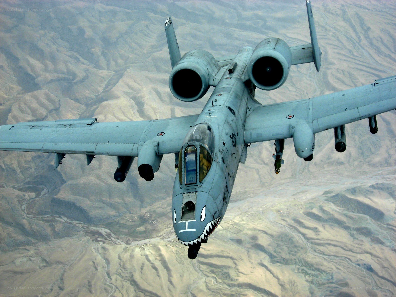 A-10 Thunderbolt II in flight