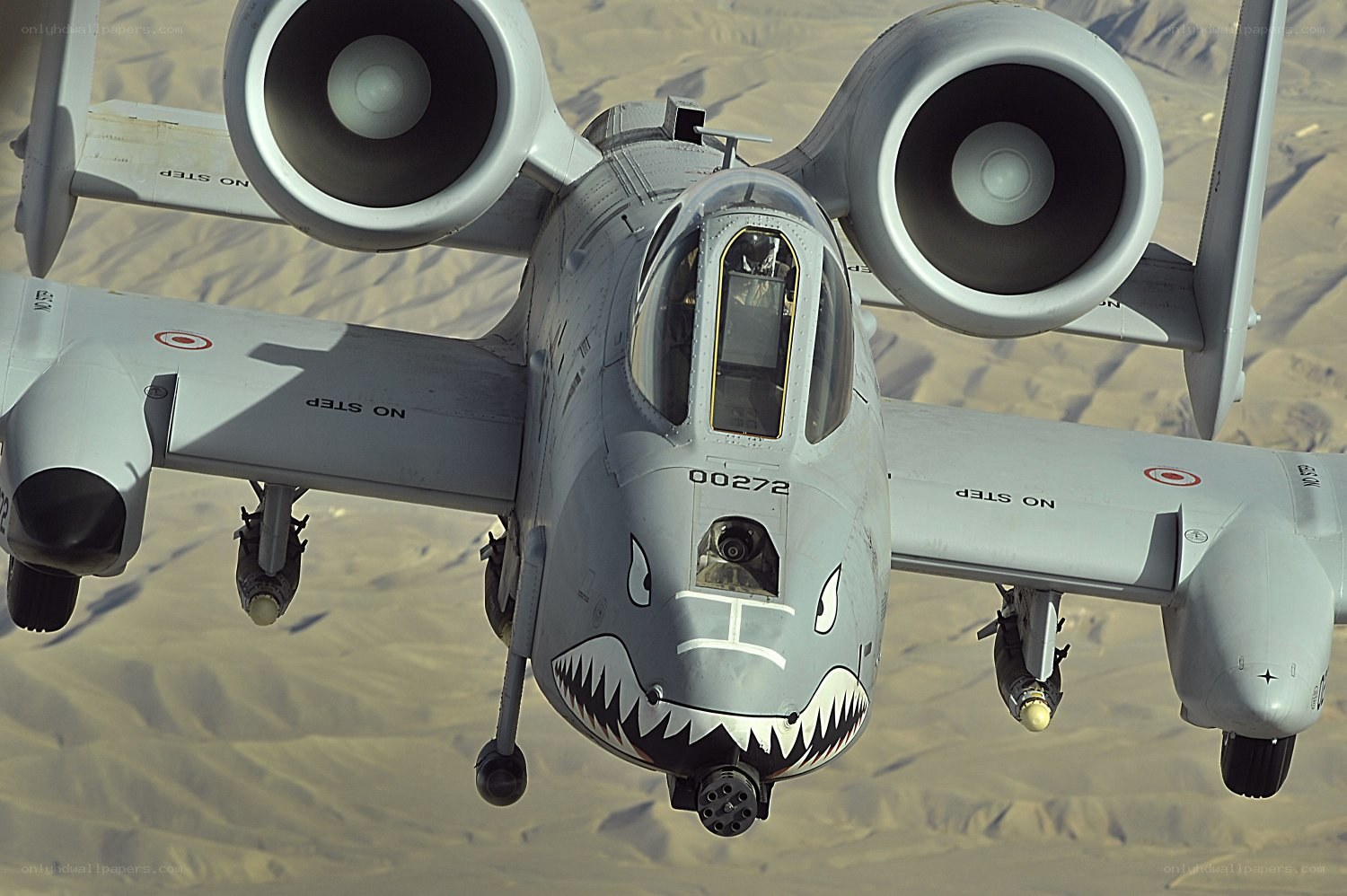A-10 Thunderbolt II in flight