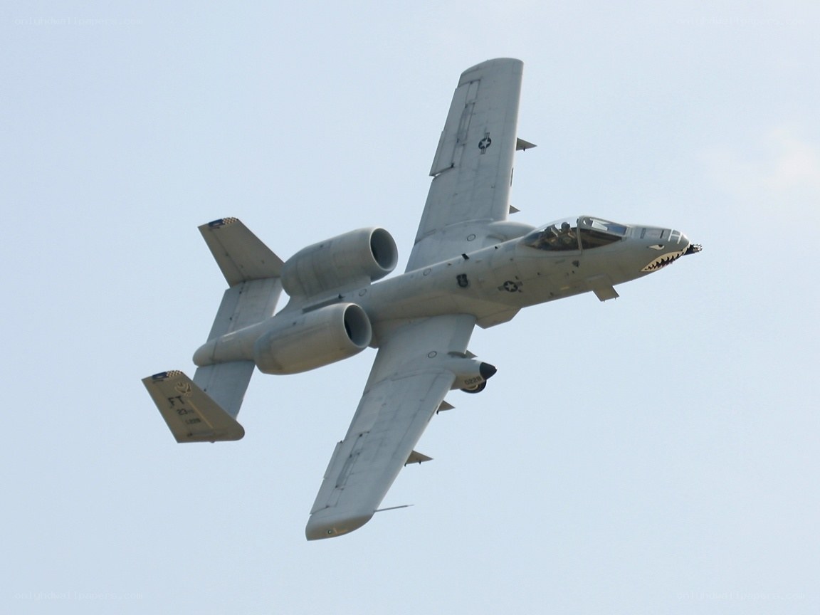 A-10 Thunderbolt II in flight