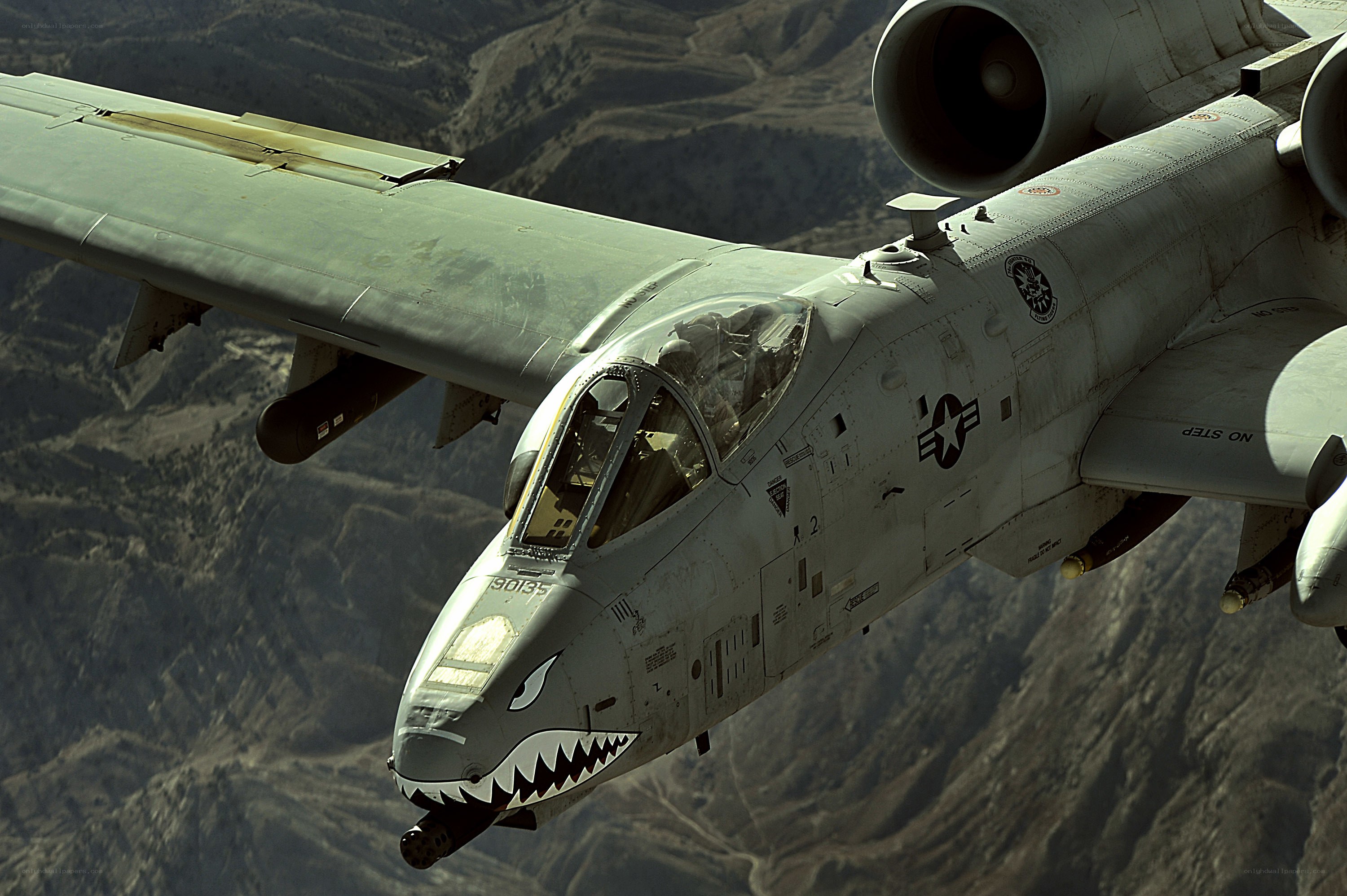 A-10 Thunderbolt II in flight