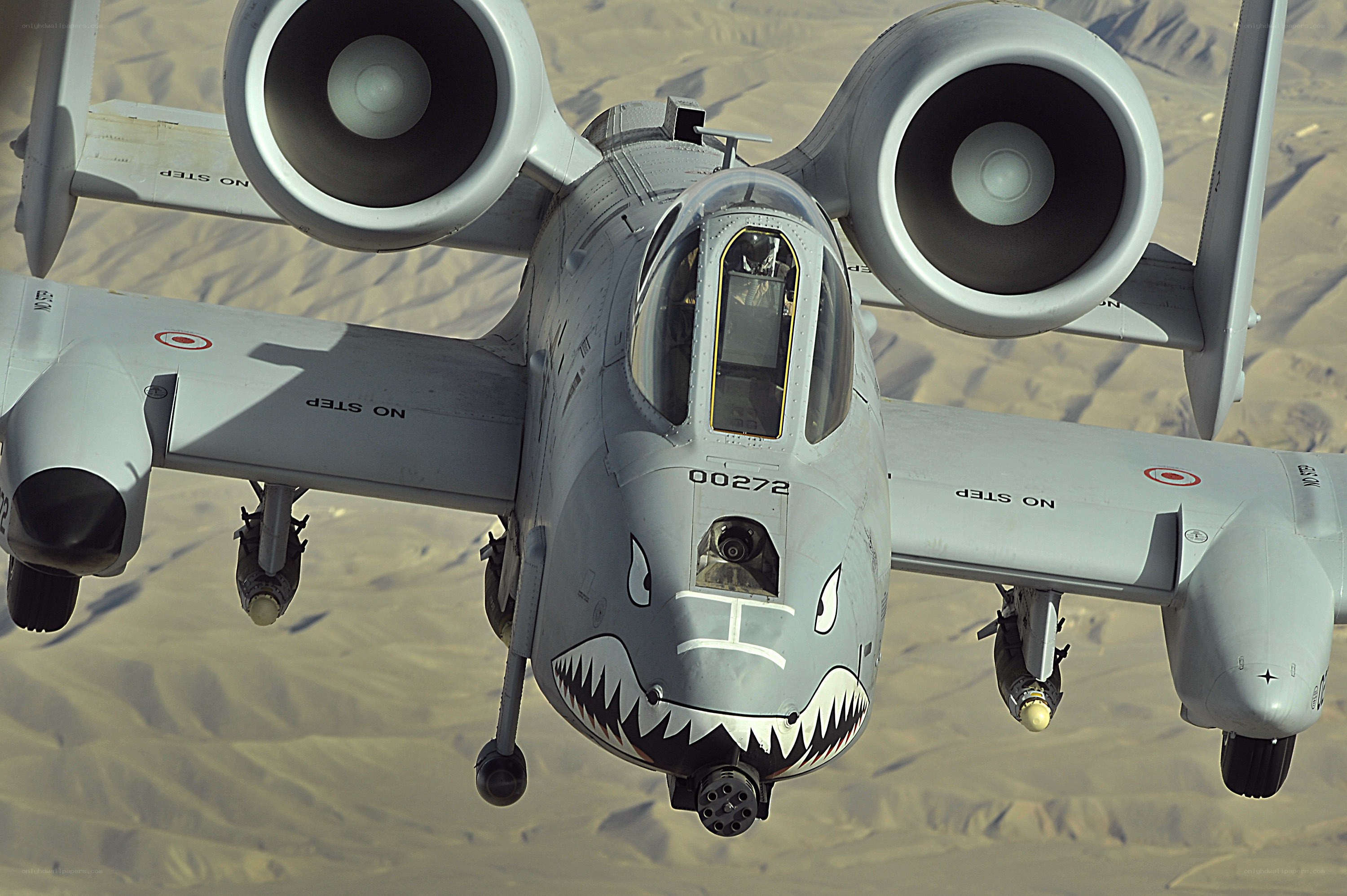 A-10 Thunderbolt II in flight