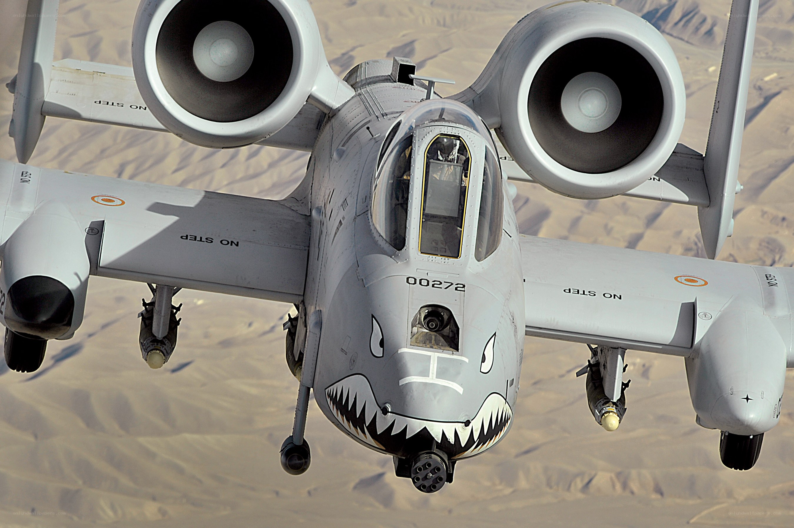 A-10 Thunderbolt II in flight