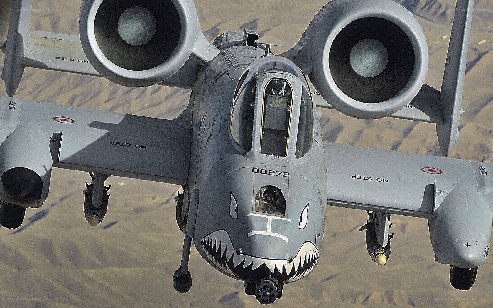 A-10 Thunderbolt II in flight