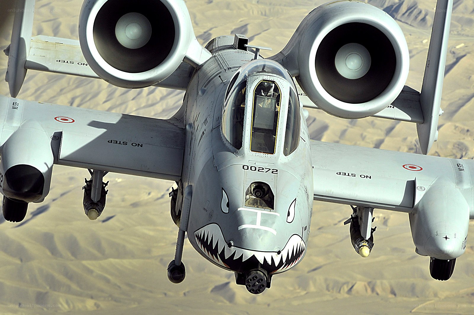 A-10 Thunderbolt II in flight