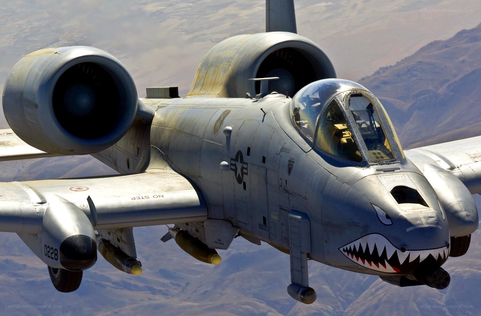 A-10 Thunderbolt II in flight