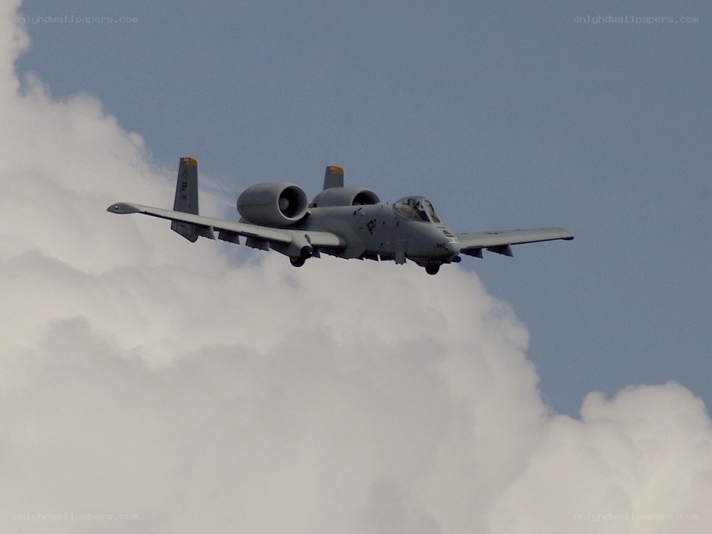 A-10 Thunderbolt II in flight