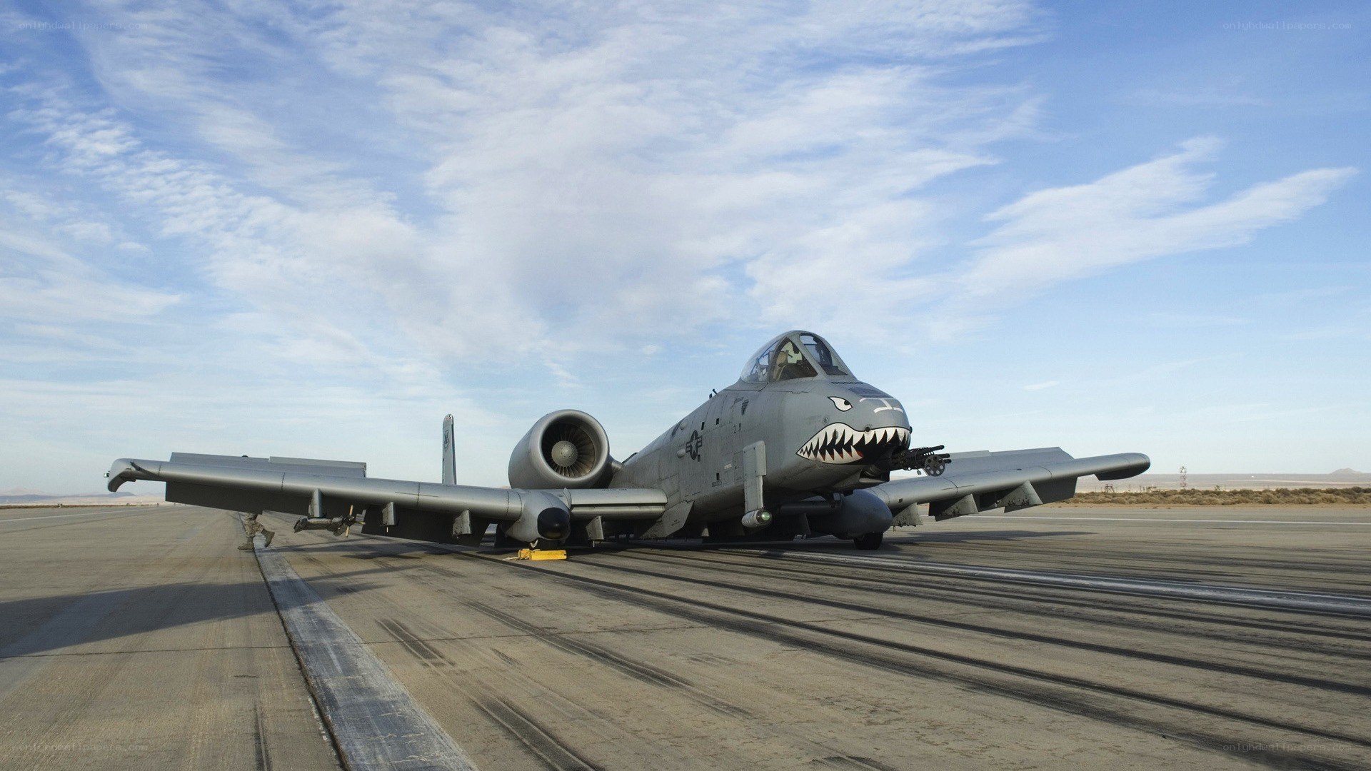A-10 Thunderbolt II on runway