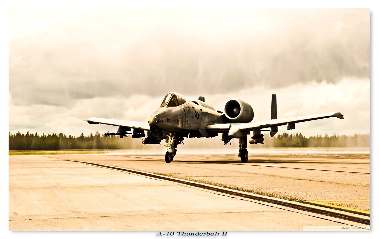 A-10 Thunderbolt II on runway