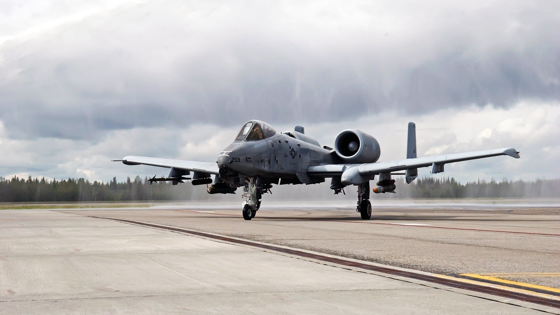 A-10 Thunderbolt II on runway