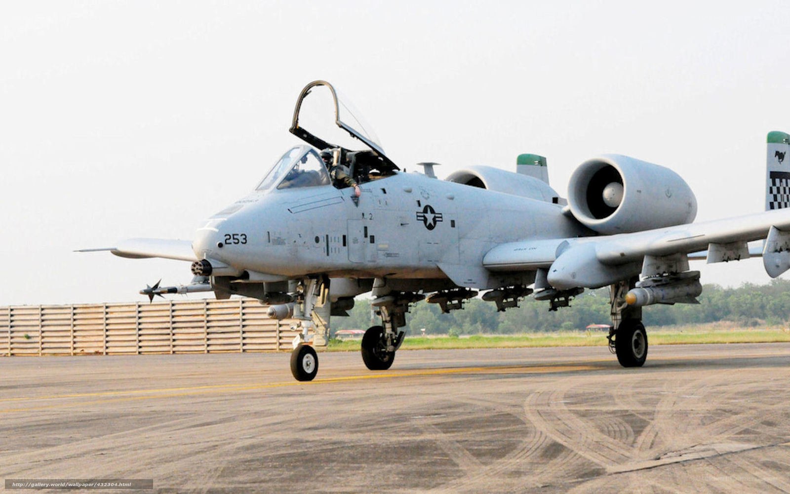 A-10 Thunderbolt II on runway