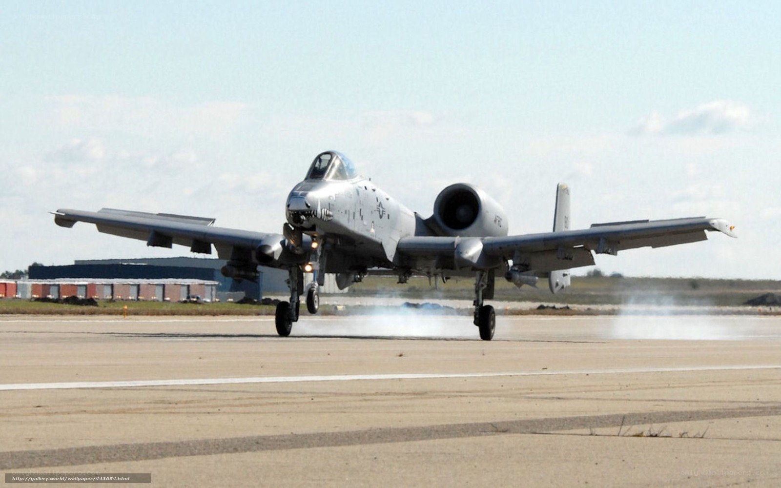 A-10 Thunderbolt II on runway