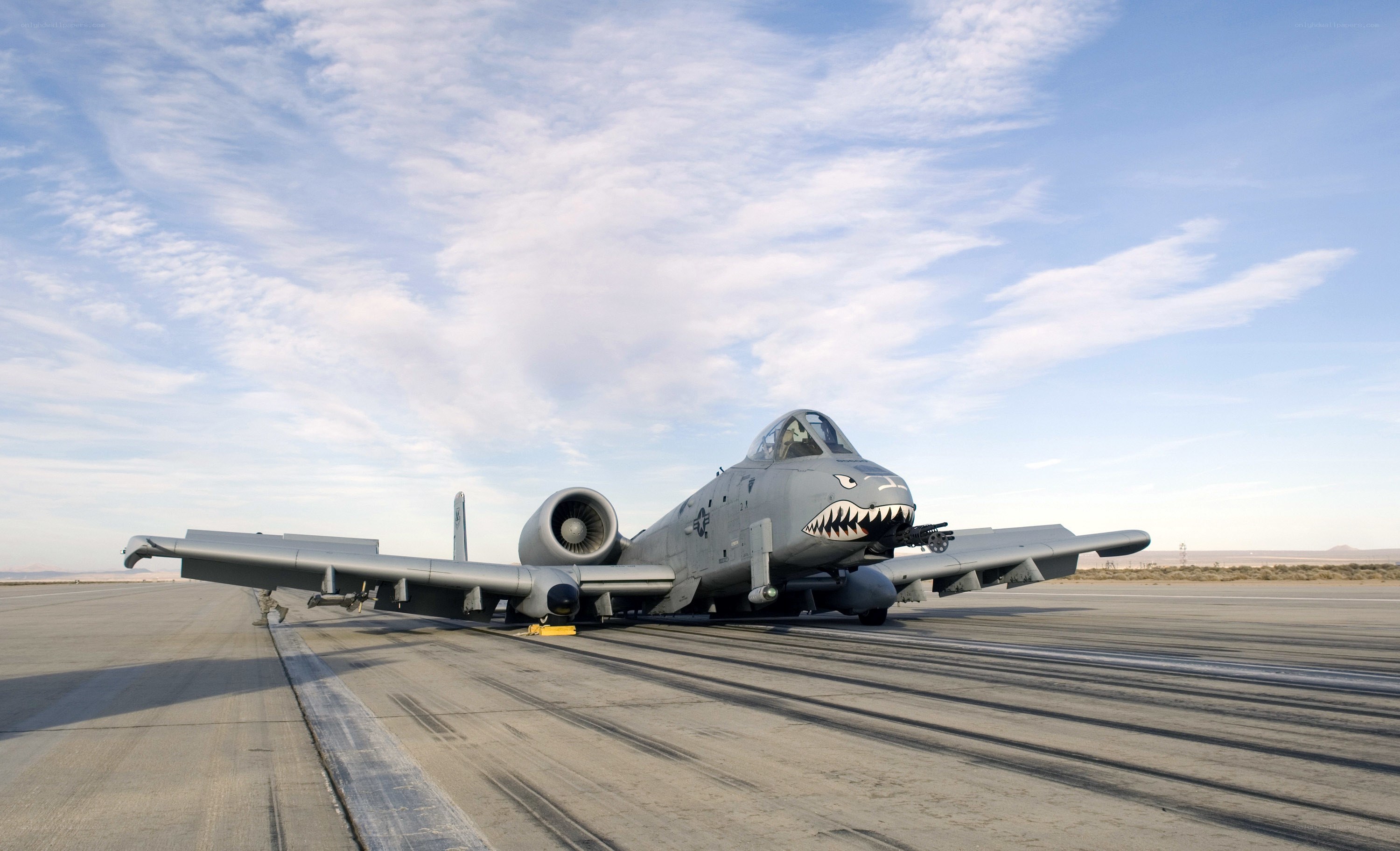 A-10 Thunderbolt II on runway