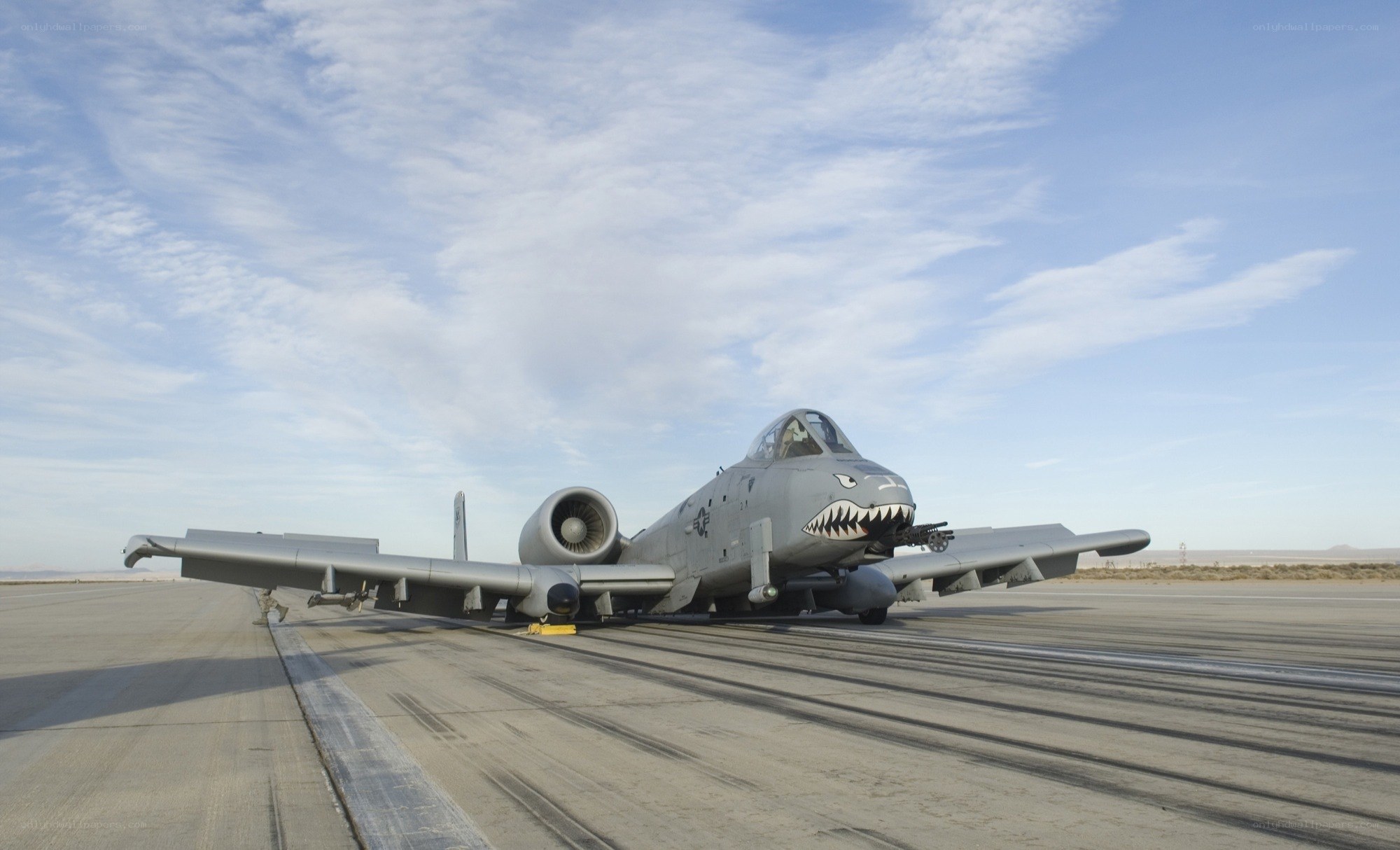 A-10 Thunderbolt II on runway