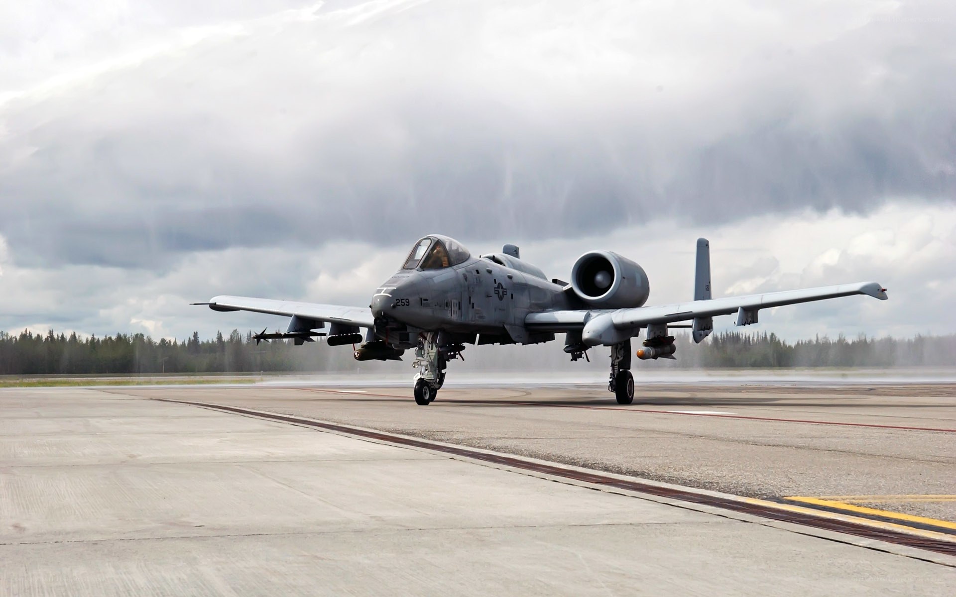 A-10 Thunderbolt II on runway