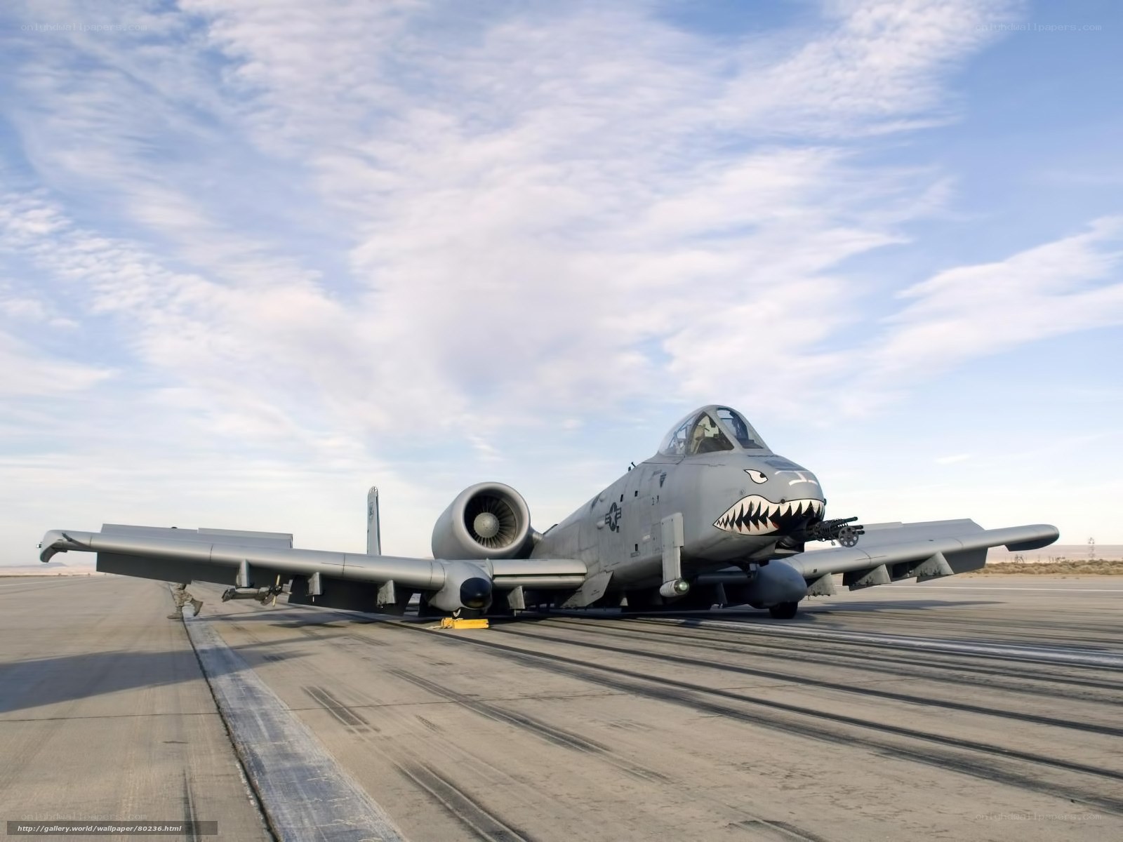 A-10 Thunderbolt II on runway