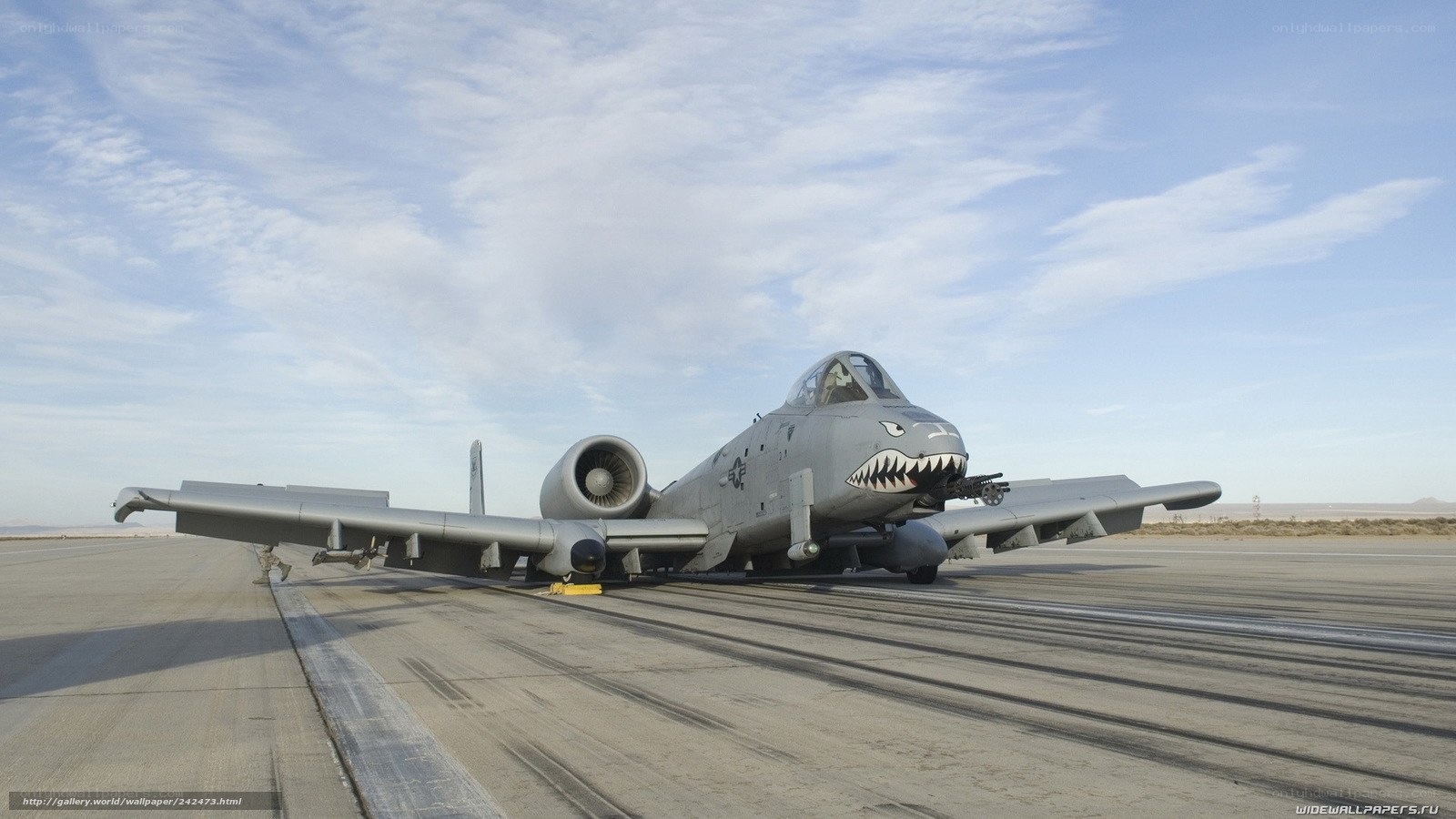 A-10 Thunderbolt II on tarmac