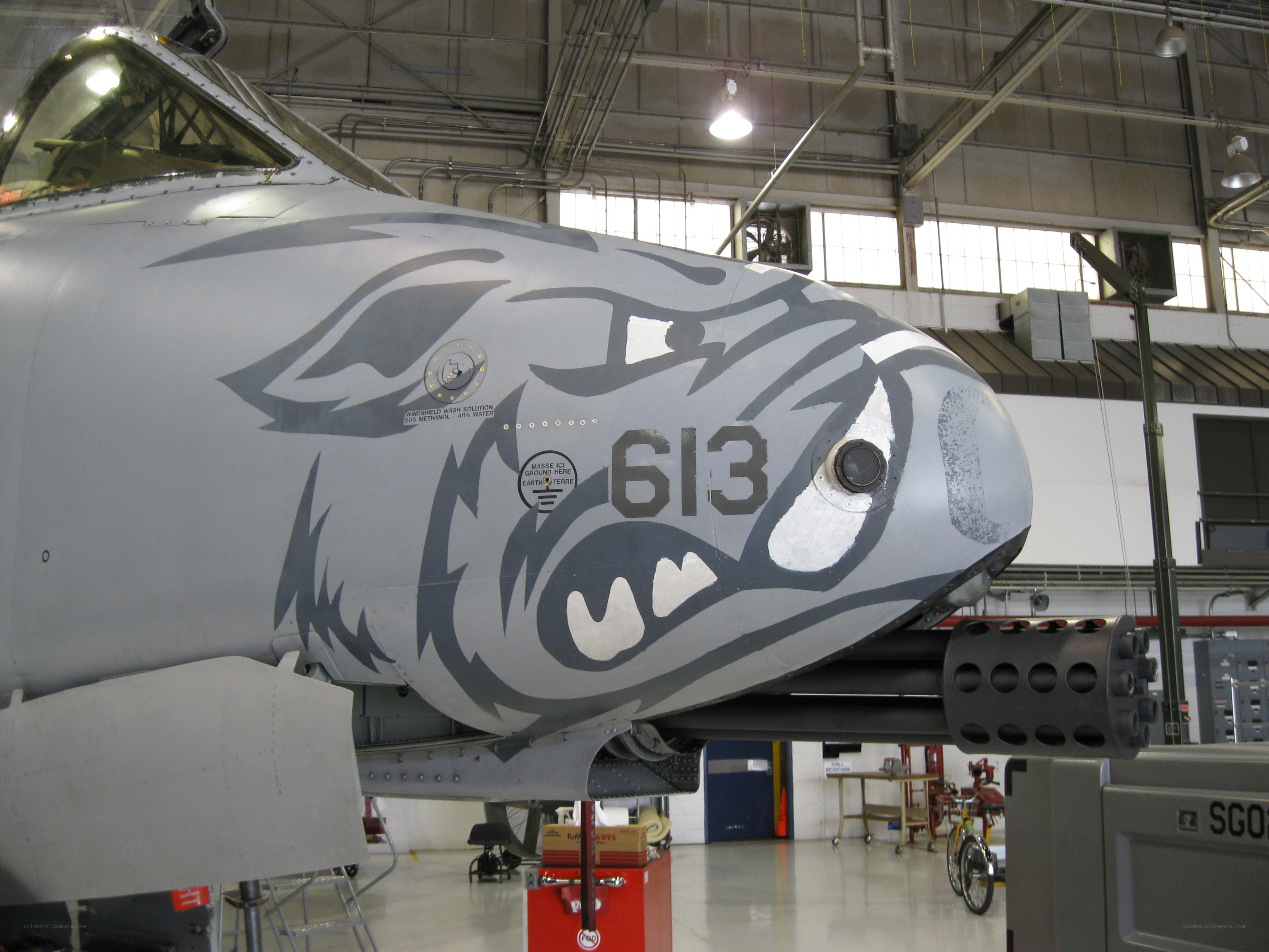 A-10 Thunderbolt II with nose art