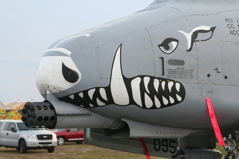 A-10 Thunderbolt II with shark face