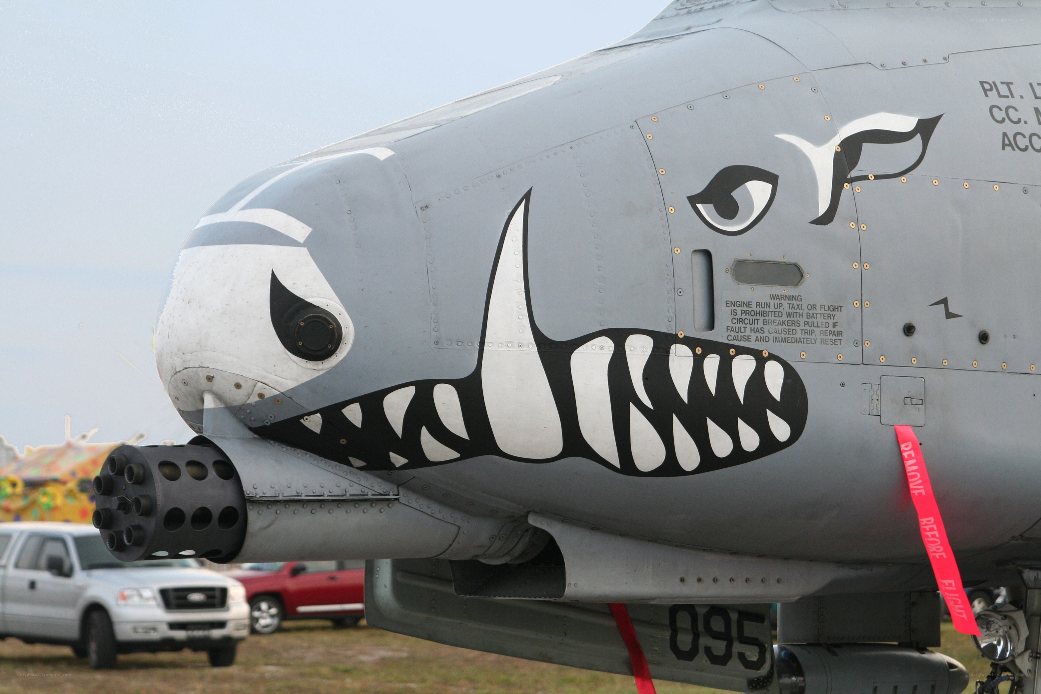 A-10 Thunderbolt II with shark face