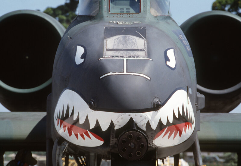 A-10 Thunderbolt II with shark mouth