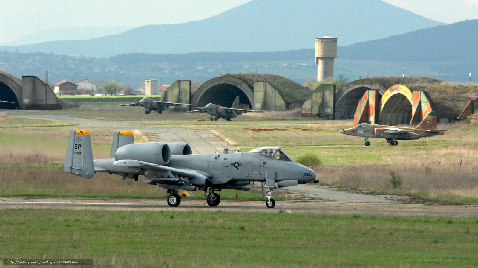 A-10 Thunderbolt on runway