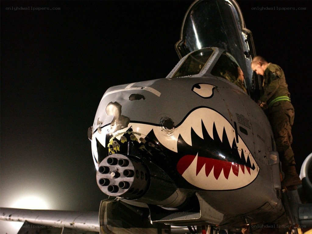 A-10 Thunderbolt with shark mouth