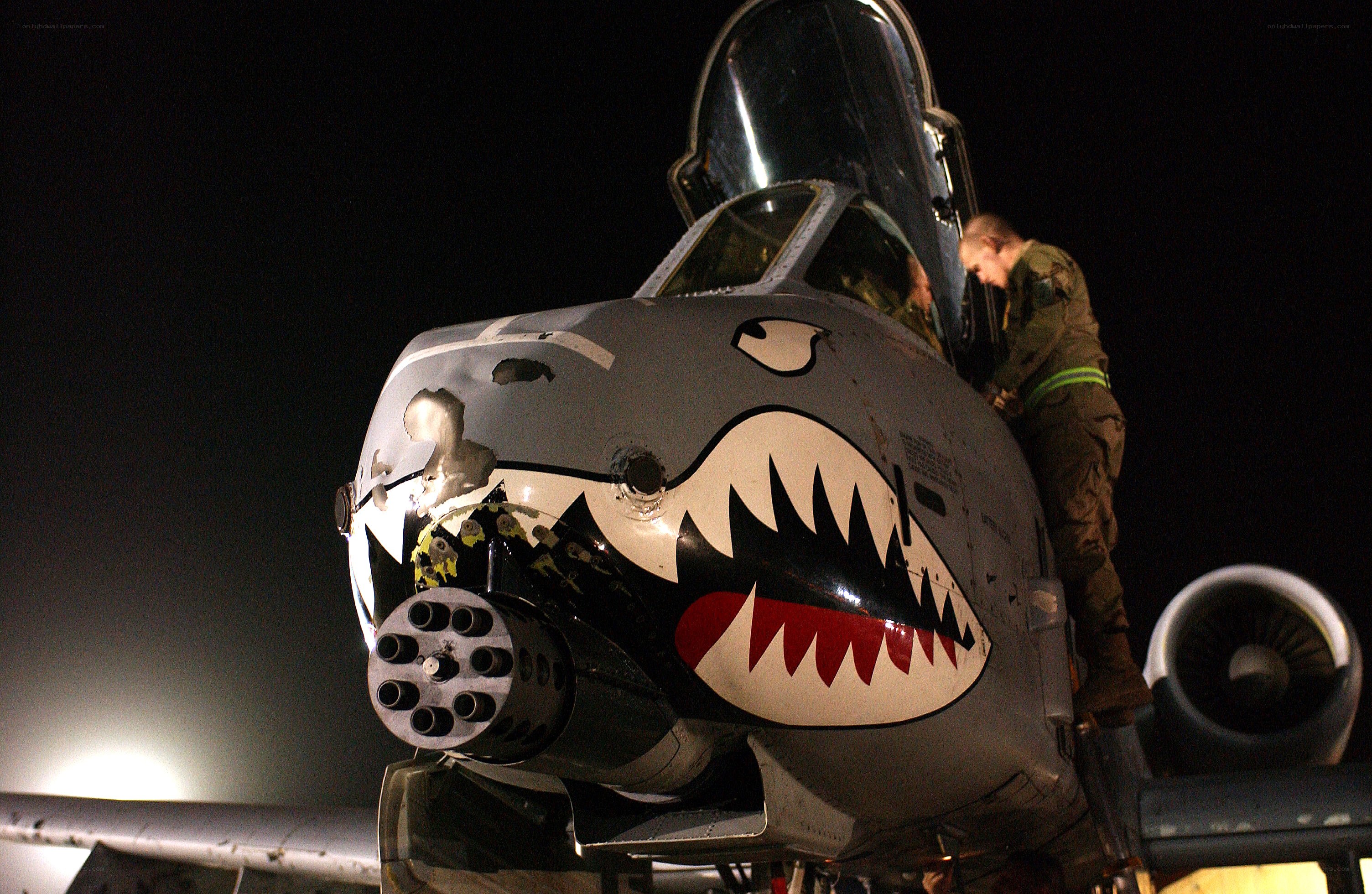 A-10 Thunderbolt with shark mouth
