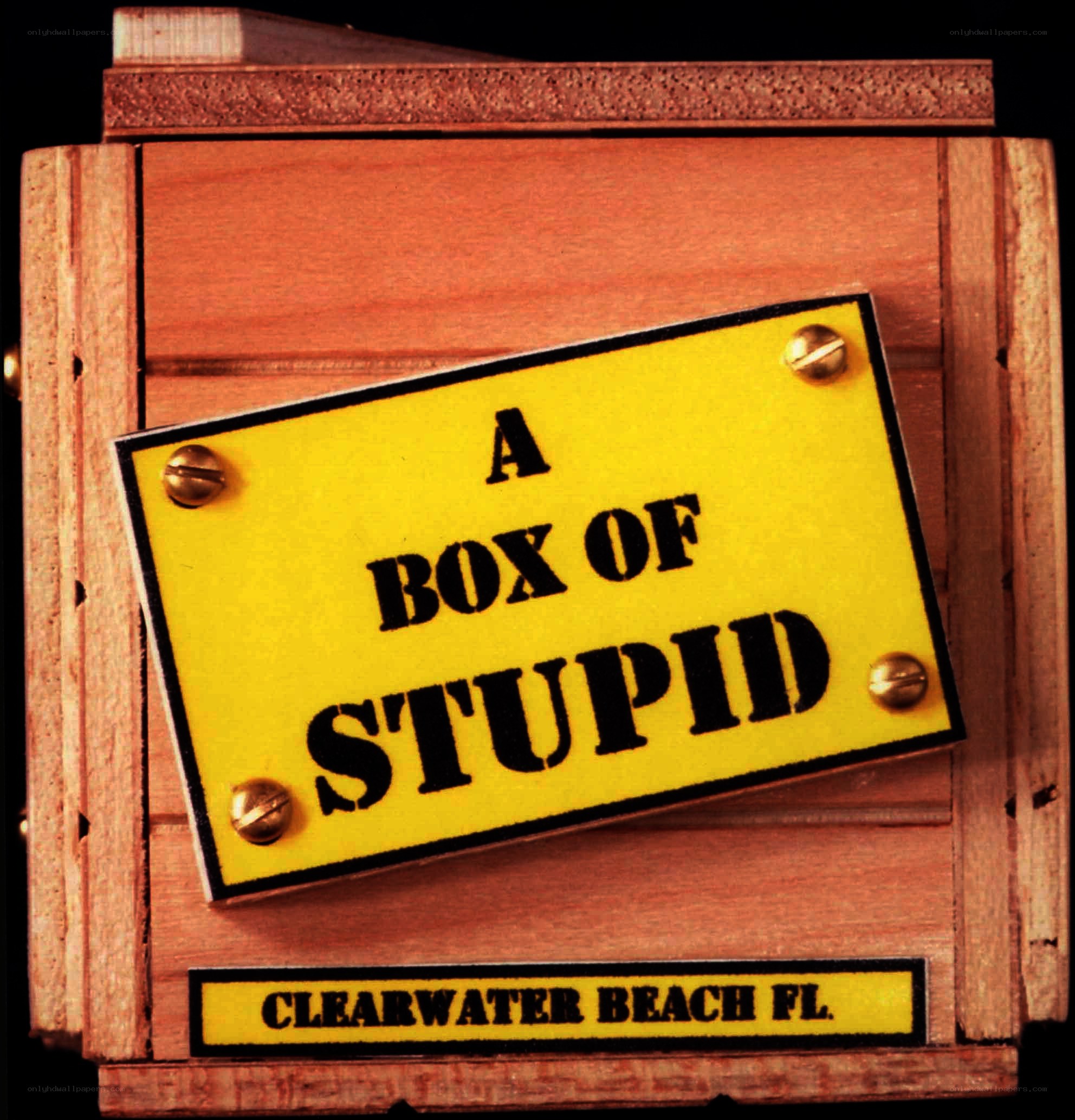 a box of stupid